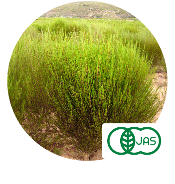 有機JAS認証