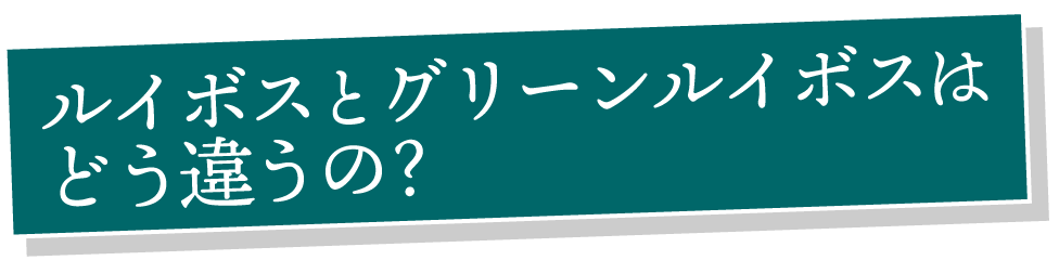 ルイボスとグリーンルイボスはどう違うの？