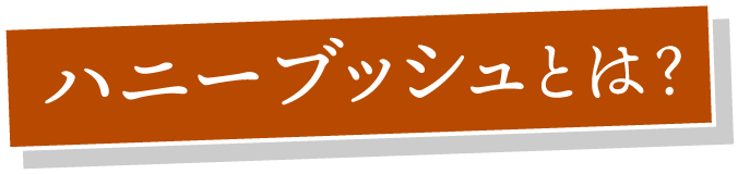 ハニーブッシュとは？