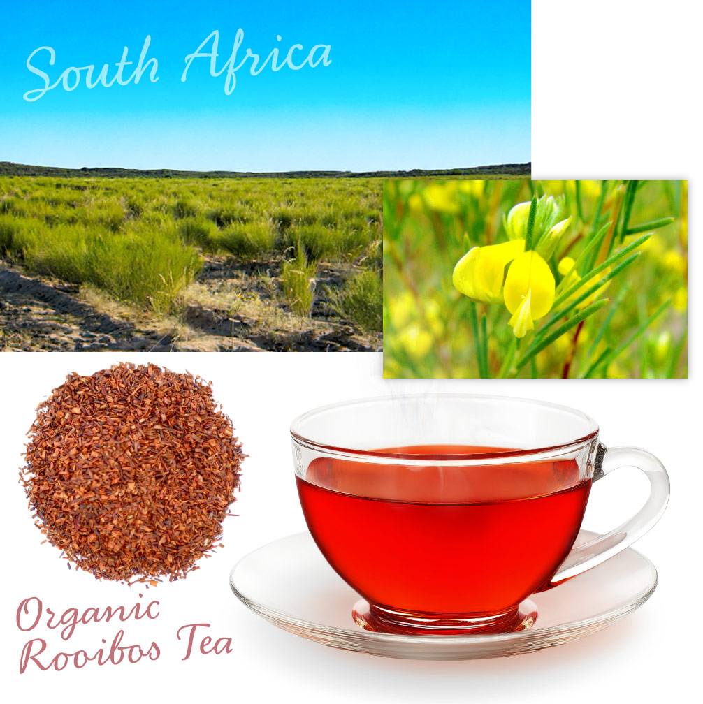 Organic Rooibos Tea