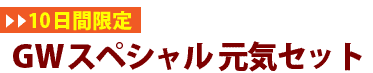 【10日間限定】GWスペシャル元気セット