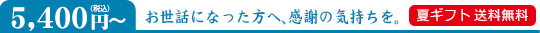 5,400円(税込)