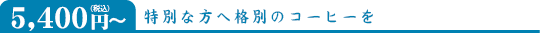 5,400円(税込)~