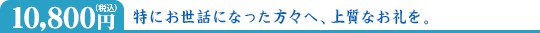 10,800円(税込)