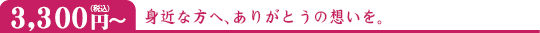 3,300円(税込)~