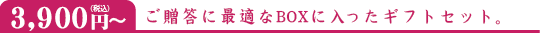 3,900円(税込)~