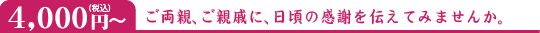 4,000円(税込)~