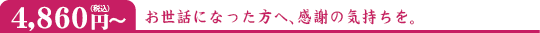 4,860円(税込)~