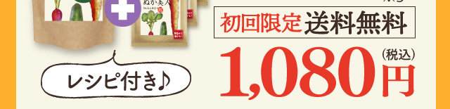 レシピ付き　初回限定　送料無料　1080円