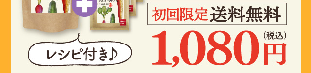 レシピ付き　初回限定　送料無料　1080円（税込）