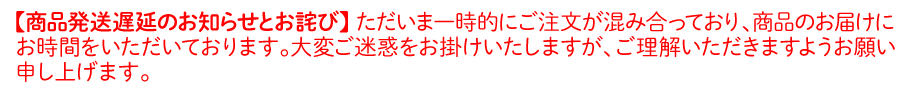 商品発送遅延のお知らせとお詫び
