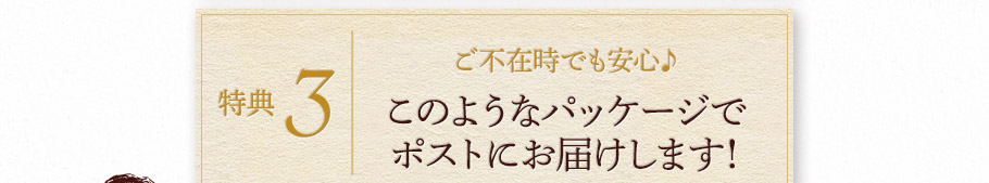特典3　ご不在時でも安心♪　このようなパッケージでポストにお届けします！