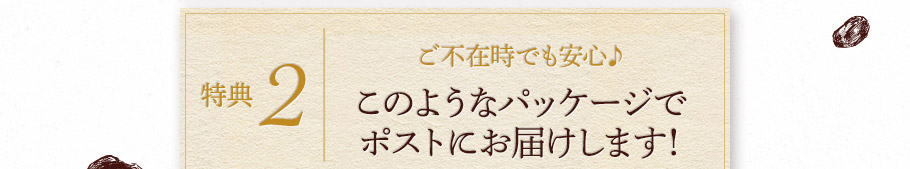 特典2　ご不在時でも安心♪　このようなパッケージでポストにお届けします！