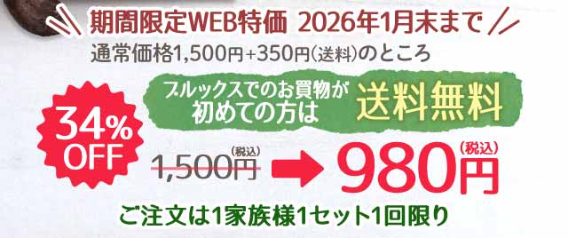 ブルックスでのお買物が初めての方限定　送料無料　34％OFF 1,500円→980円　1家族様1セット1回限り