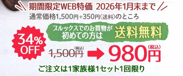 ブルックスでのお買物が初めての方限定　送料無料　34％OFF 1,500円→980円　1家族様1セット1回限り