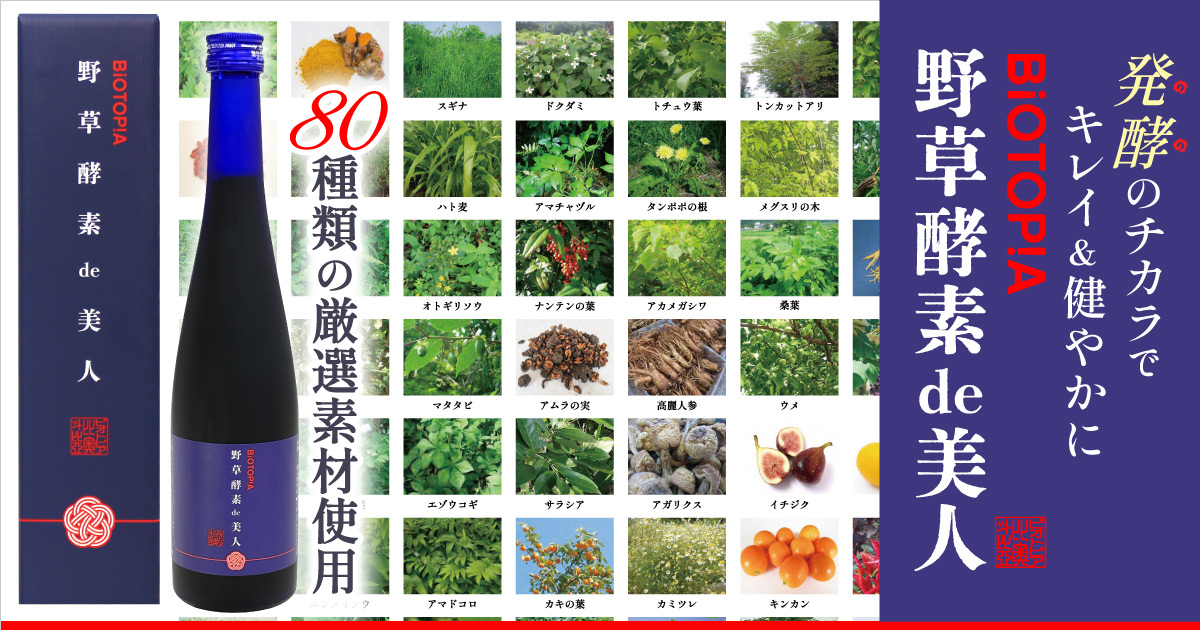 【nico♡】野草酵素×4本 定期購入・会員限定】野草酵素－植物発酵液/濃縮原液/発酵原液・500ml